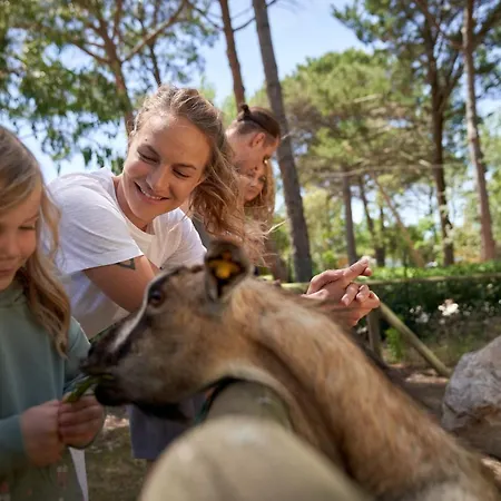 Camping Campo Dei Fiori Вада