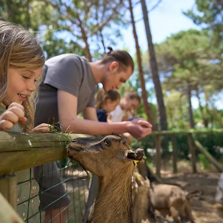 Camping Campo Dei Fiori 3*